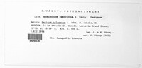 Image Associated With the Occurrence
